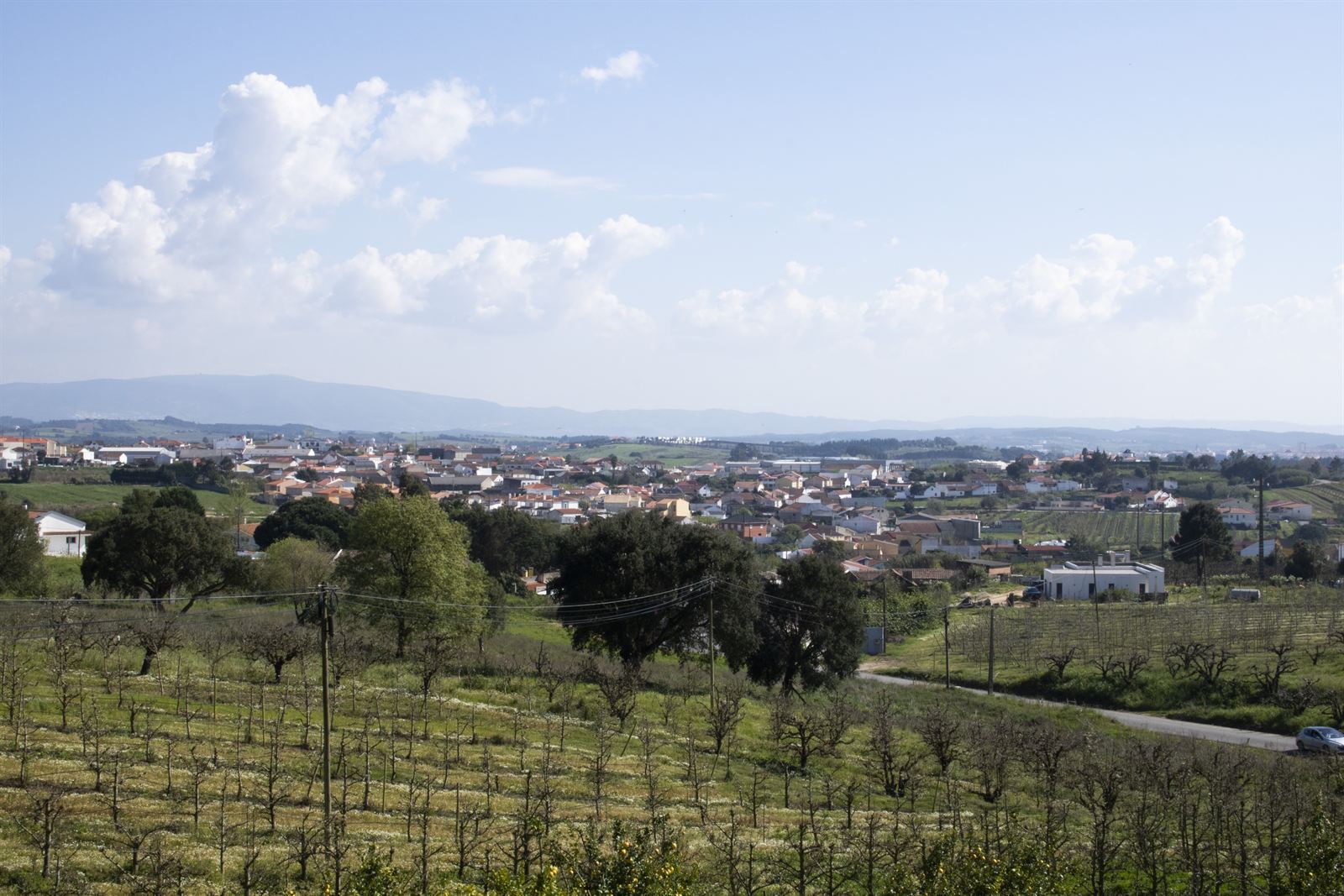 Vista sobre a região da Roliça